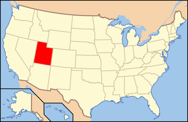 A simple image for the subheading Benefits of using a Utah registered agent service could be a magnifying glass highlighting the state of Utah on a map.