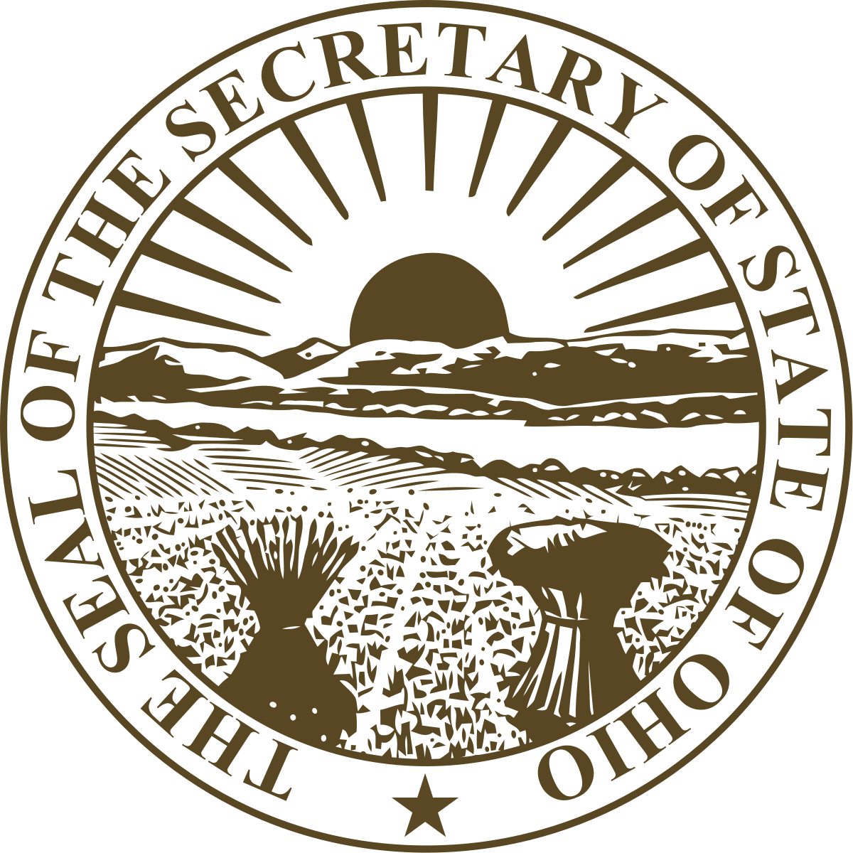 ohio secretary of state